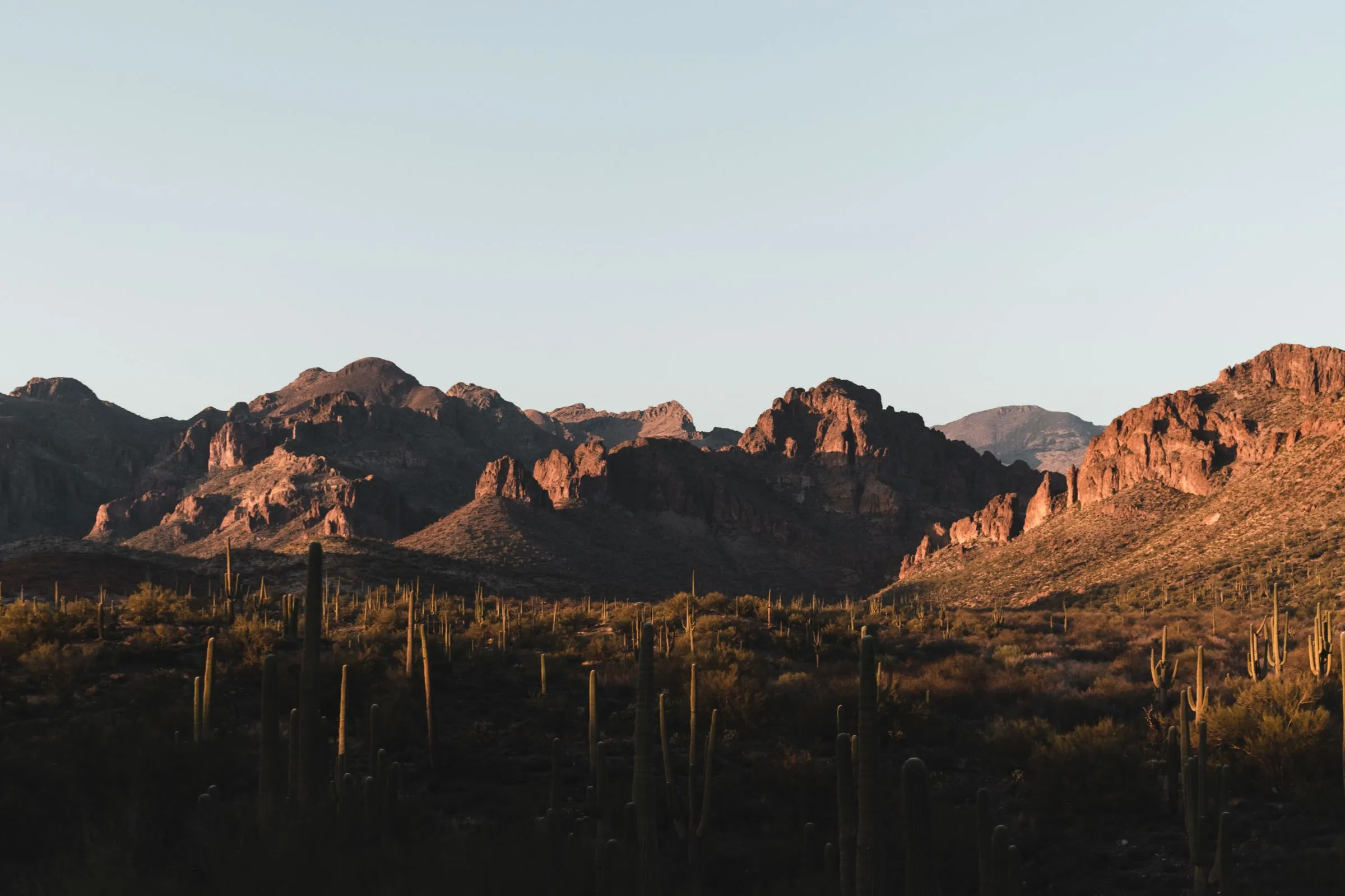 The jagged red face of the Superstition Mountains east of Mesa, Arizona, lit by low sun, with a field of saguaro cacti in shadow in the foreground