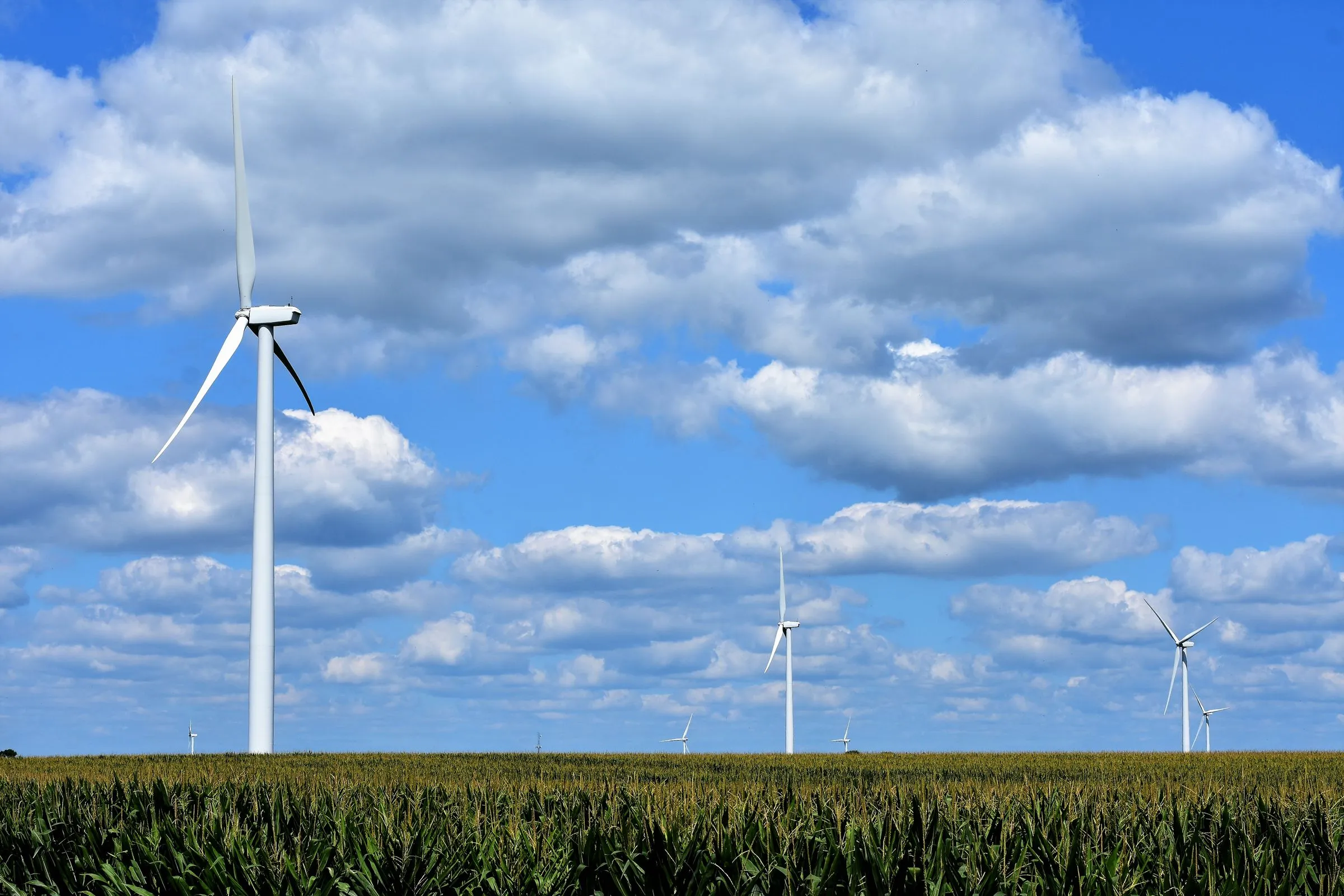 Six white wind turbines rising above a dense field of tasseled green corn under a sky of heavy cumulus clouds in DeKalb, Illinois, with the nearest turbine’s three blades filling the left of the frame