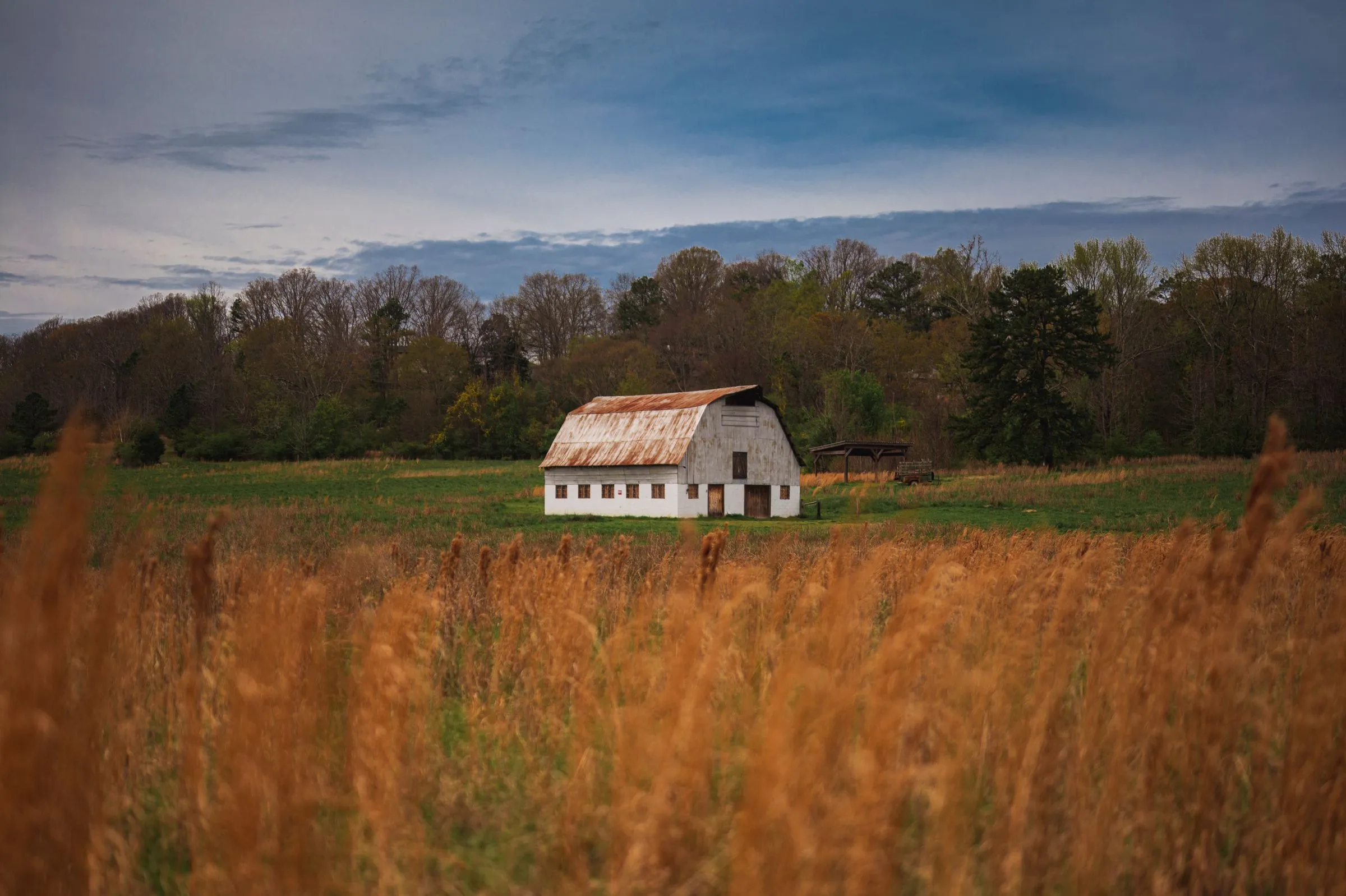 A white barn with a rusted metal roof standing in a hay field at the edge of hardwood and pine woods in the countryside near Atlanta, Georgia, under a gray sky
