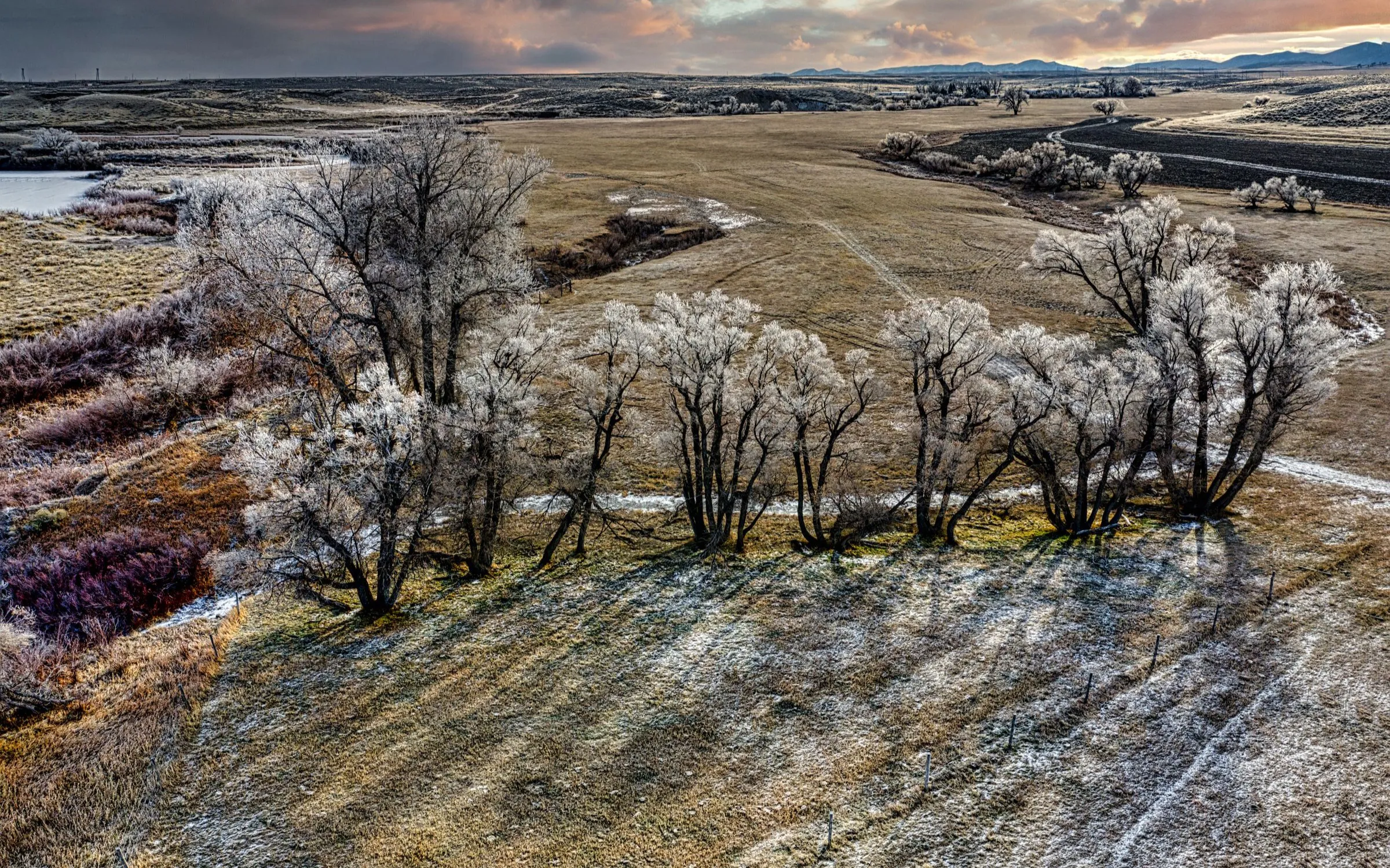 Aerial view of frost-covered cottonwood trees and open pasture on the high plains near Douglas, Wyoming, with a creek, fence lines, and low hills under a dramatic sky