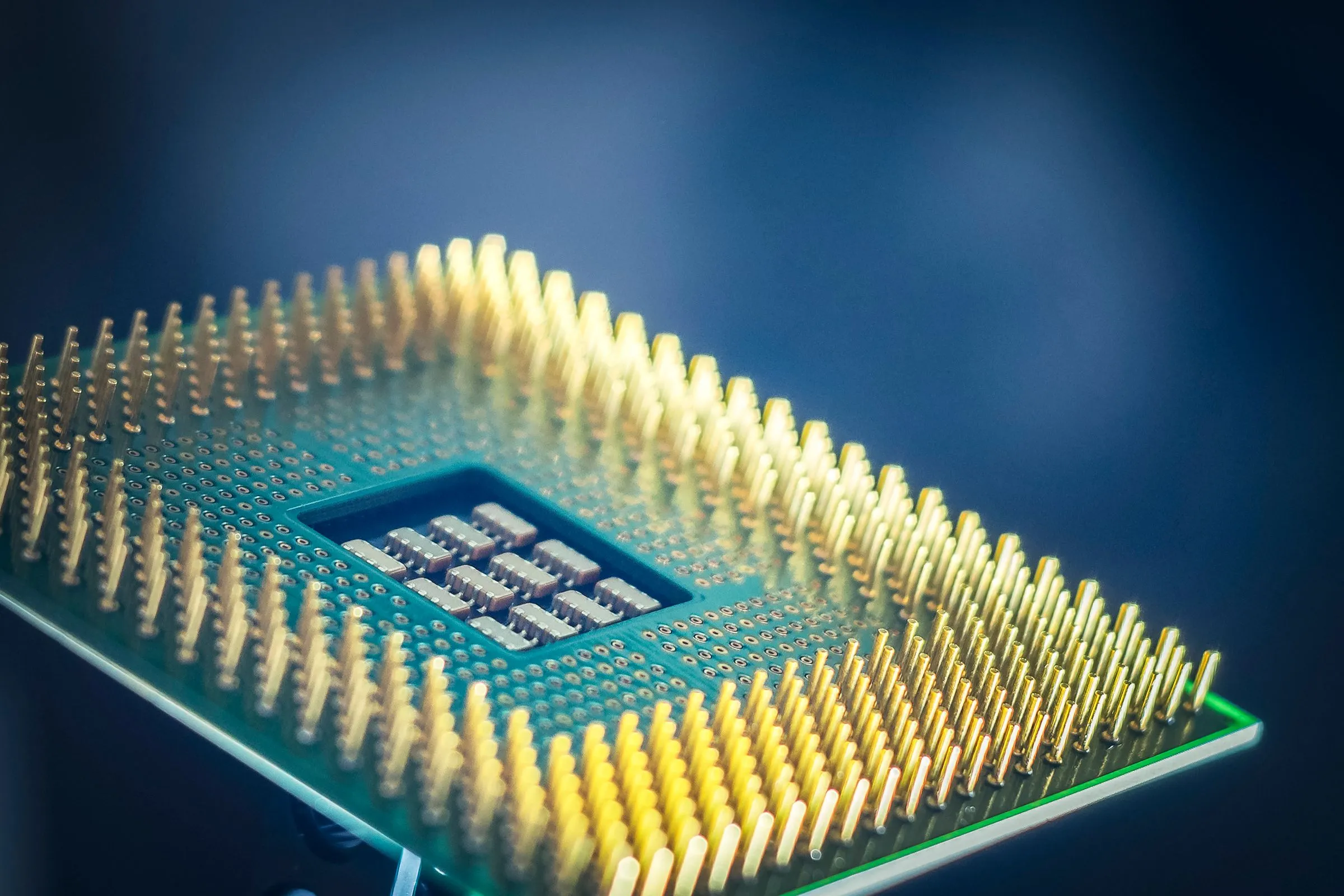 Macro view of a bare processor chip standing on edge, its rows of gold pins catching the light against a dark blue background