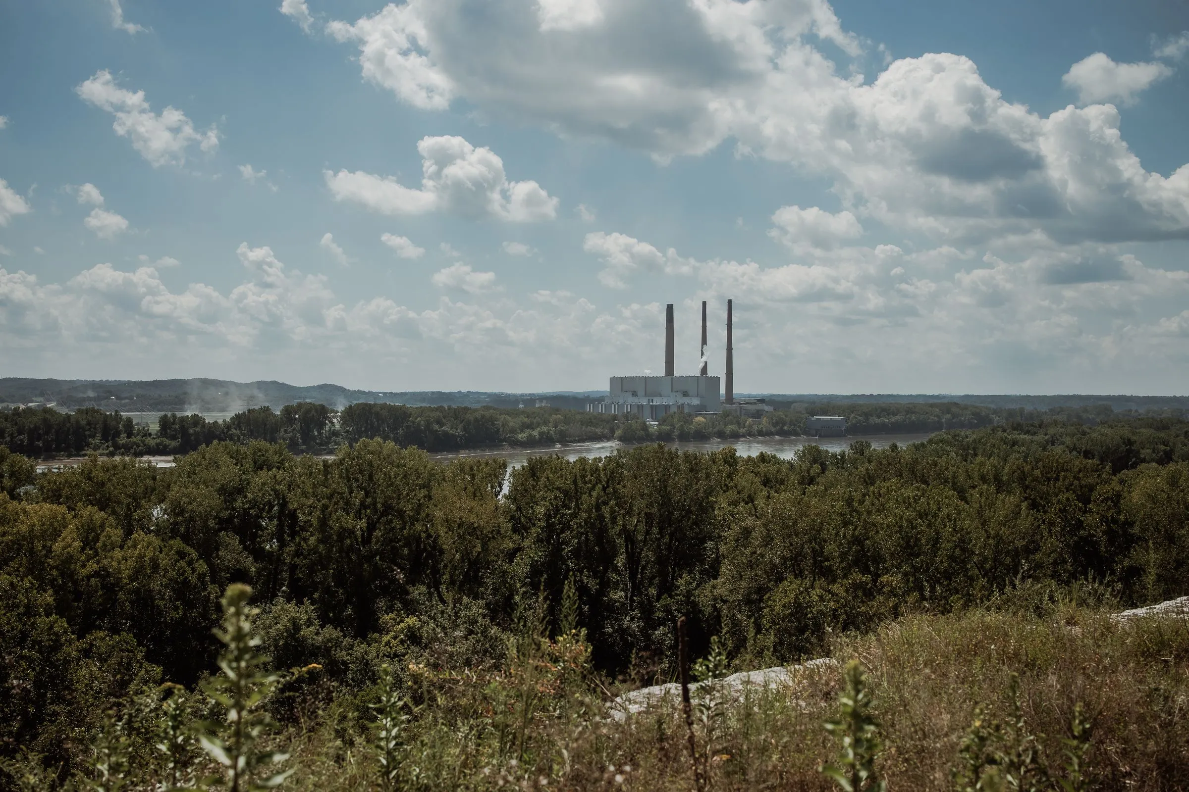 A coal-fired power station with three tall stacks and a white boiler building on the far bank of a wide brown river, seen across dense summer forest under cumulus clouds