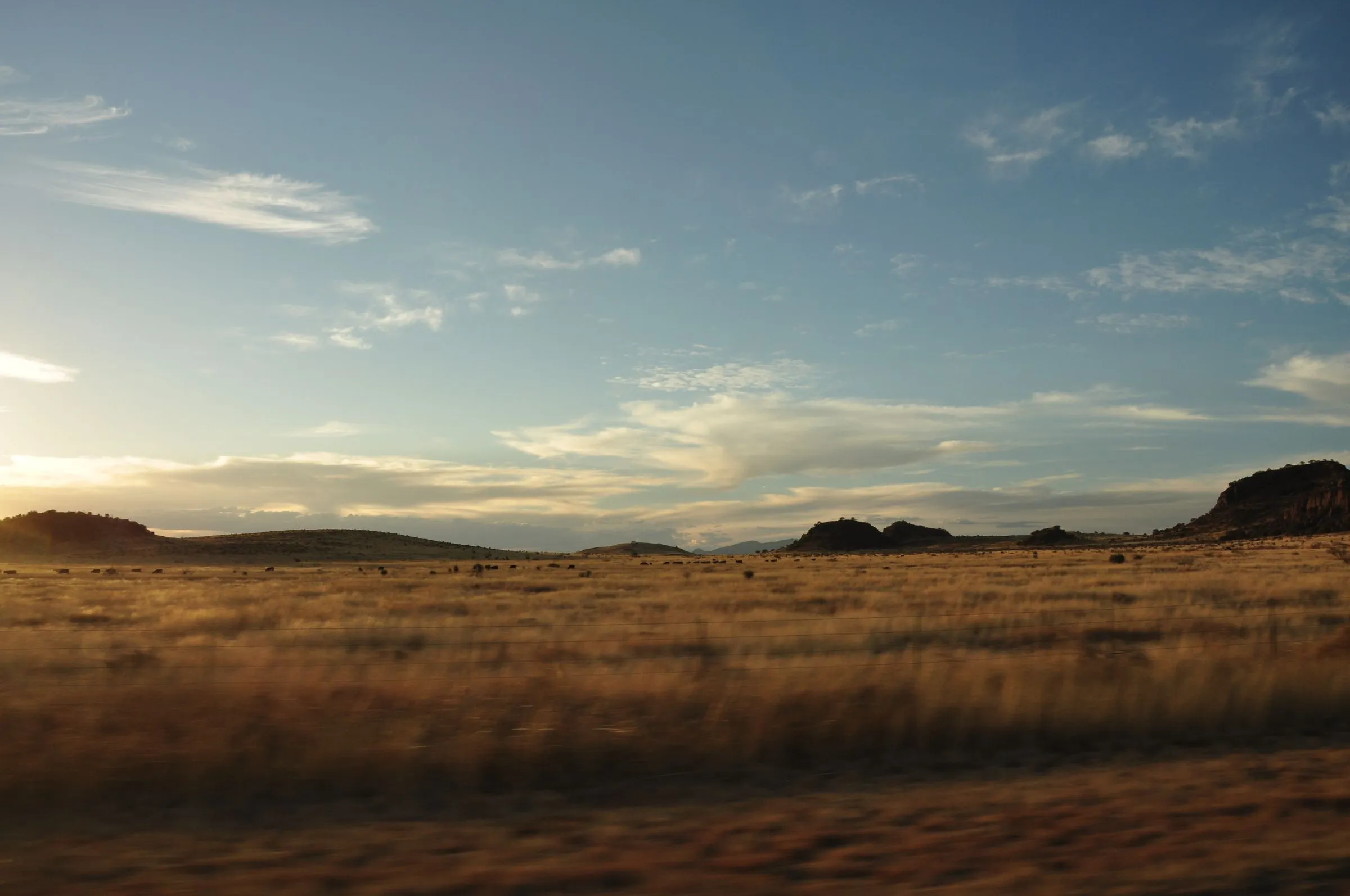 Open grassland and low mesas near Valentine in far West Texas at sunset, with golden grass in the foreground and a wide sky of thin clouds