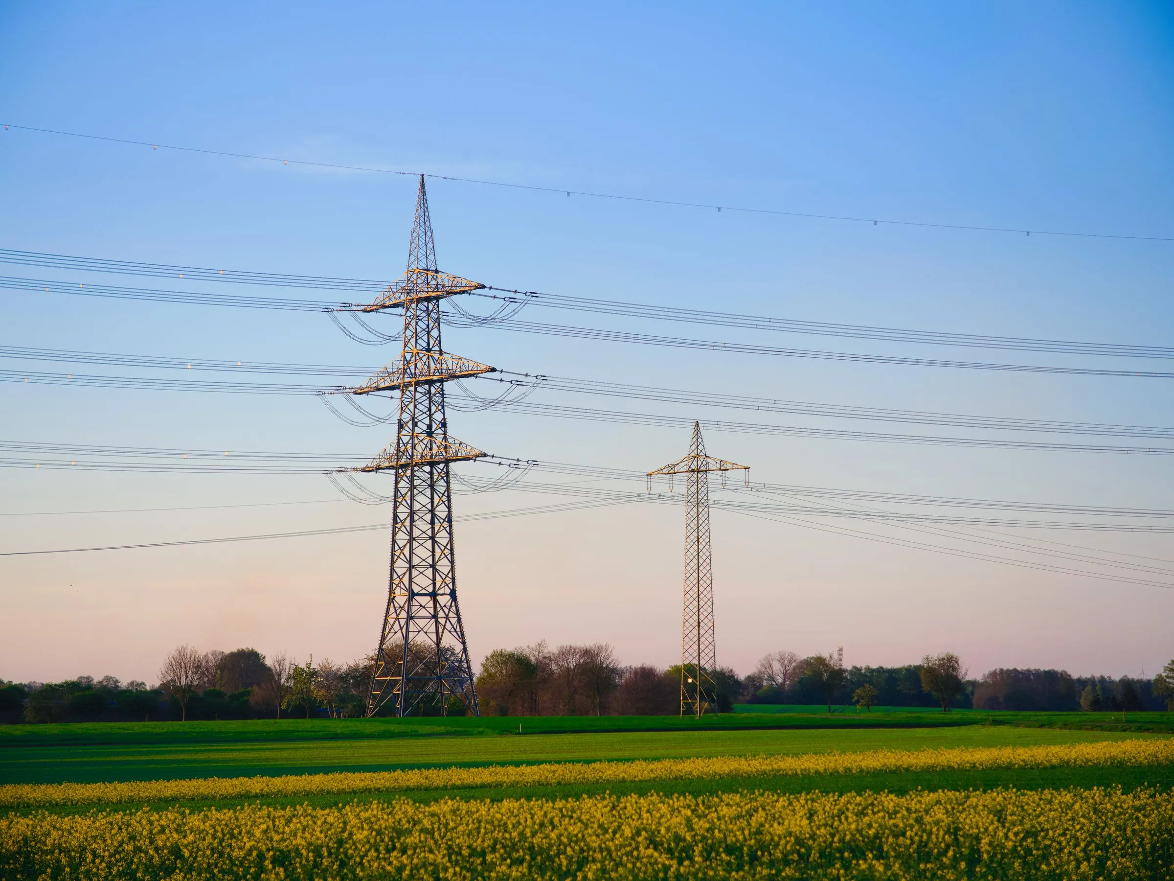 Two steel transmission towers carrying high-voltage lines over green fields and flowering crops at dusk