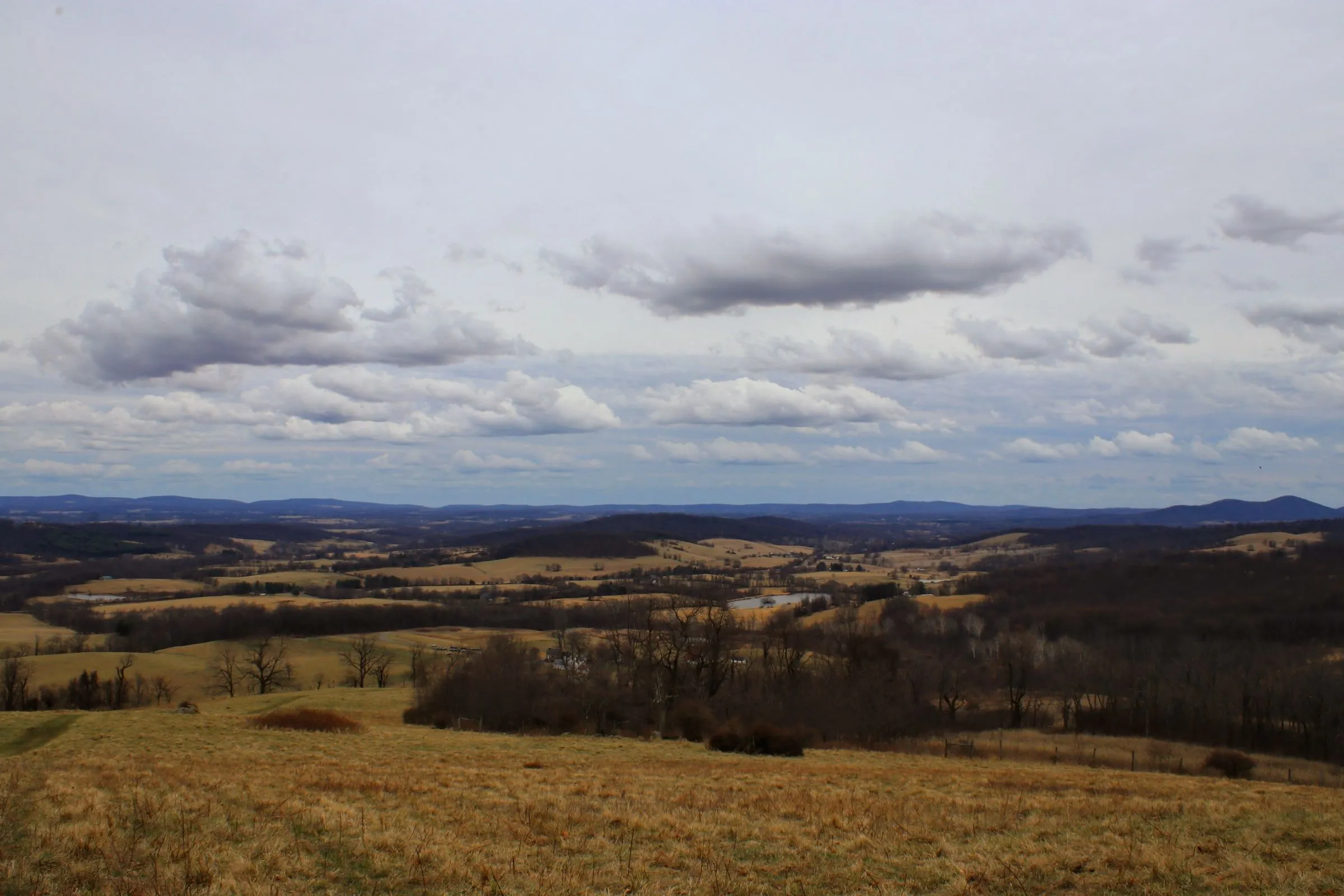 Rolling brown hills and hedgerows of Delaplane in Fauquier County, Virginia, under a sky of scattered clouds, with the Blue Ridge on the horizon