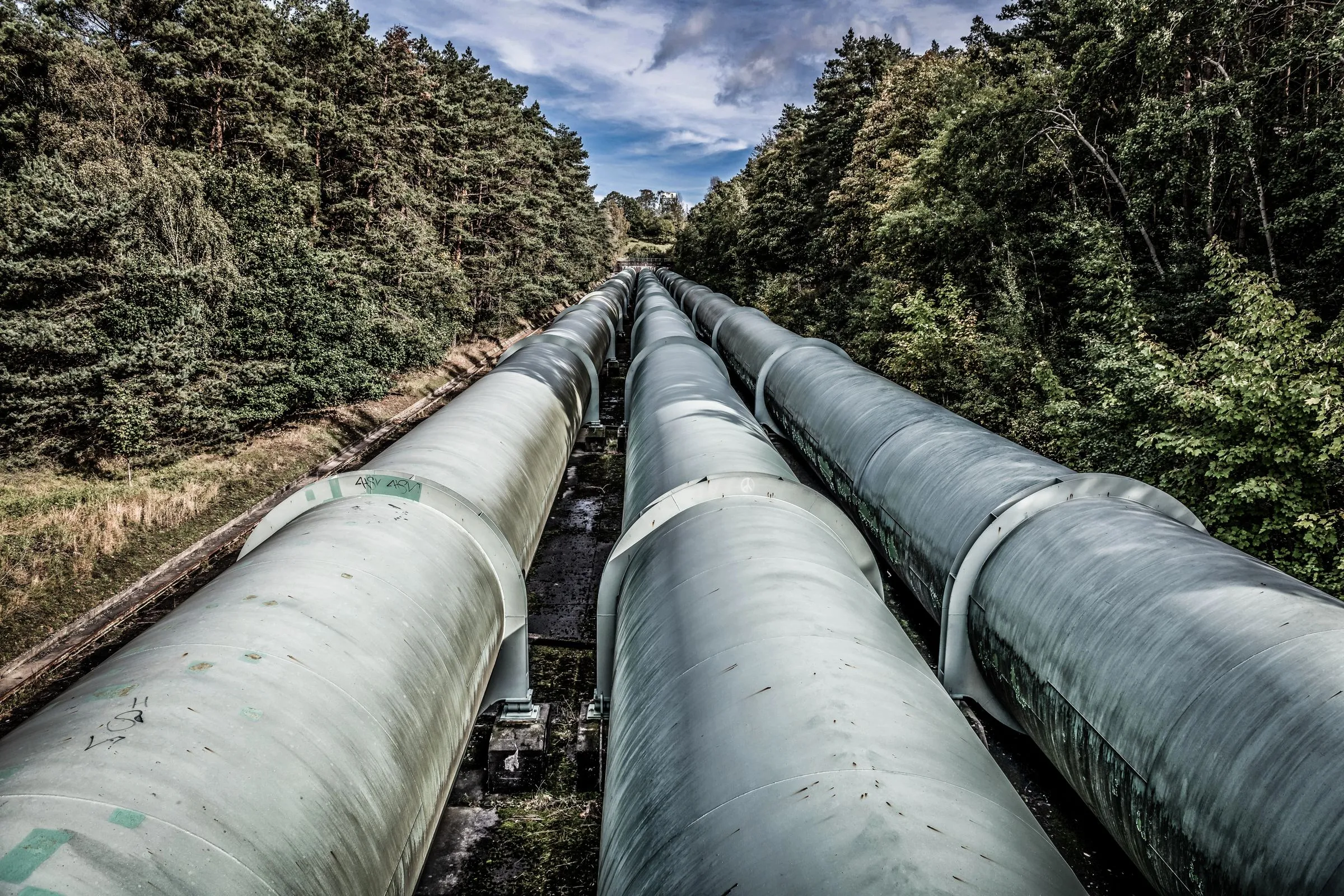 Three large above-ground insulated pipelines running side by side through a forest corridor under a partly cloudy sky