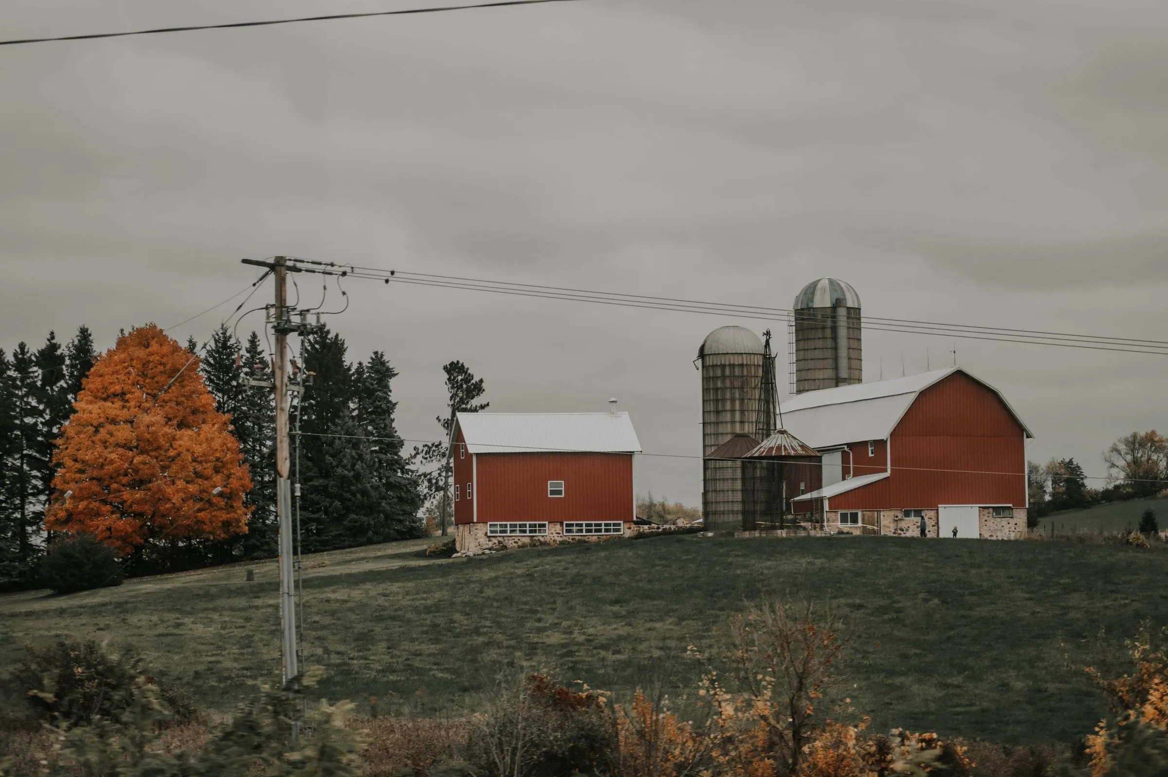 Two red barns with white metal roofs and a pair of tall silos on a farm outside Madison, Wisconsin, under an overcast autumn sky with a utility pole in the foreground